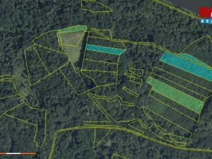 Prodej lesa, Přerov nad Labem, 70048 m2