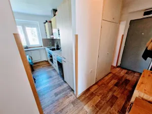 Prodej bytu 2+1, Ústí nad Labem - Bukov, Kosmova, 47 m2