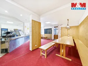 Prodej ubytování, Čenkovice, 297 m2