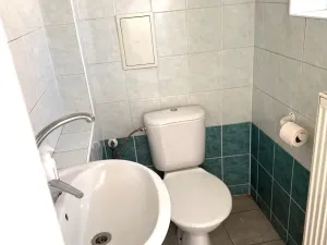 Prodej komerční nemovitosti, Třebíč - Jejkov, Smila Osovského, 250 m2