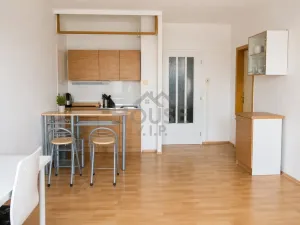 Prodej bytu 1+kk, Praha - Chodov, Nad Opatovem, 29 m2