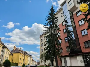 Prodej bytu 1+1, Jihlava, Na Vyhlídce, 42 m2