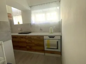 Pronájem bytu 3+1, Brno, Renneská třída, 42 m2
