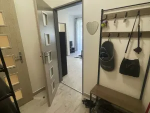 Pronájem bytu 3+1, Brno, Renneská třída, 42 m2