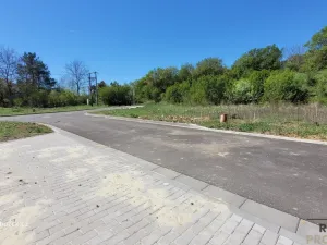 Prodej pozemku pro bydlení, Výšovice, 629 m2