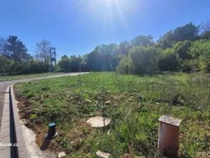 Prodej pozemku pro bydlení, Výšovice, 629 m2