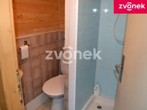 Prodej chalupy, Velké Karlovice, 90 m2