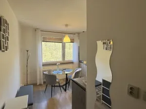 Pronájem bytu 1+1, Vsetín, Dolní Jasenka, 34 m2