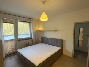 Pronájem bytu 1+1, Vsetín, Dolní Jasenka, 34 m2