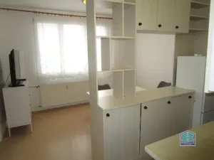 Pronájem bytu 1+1, Bor, Přimdská, 34 m2