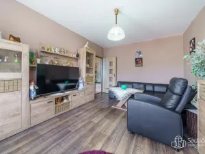 Prodej bytu 2+1, Kyselka - Radošov, 56 m2