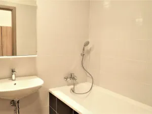 Pronájem bytu 1+kk, Brno, Božetěchova, 40 m2