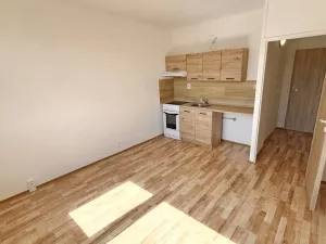 Prodej bytu 1+kk, Ústí nad Labem, Mlýnská, 22 m2