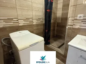 Pronájem bytu 1+1, Krupka, Karla Čapka, 35 m2