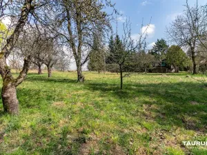 Prodej pozemku pro bydlení, Skořice, 1630 m2