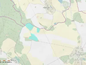 Prodej lesa, Věž, 41070 m2