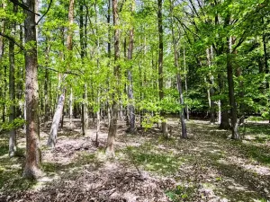 Prodej činžovního domu, Rosovice, 900 m2