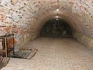 Prodej rodinného domu, Starovičky, 480 m2