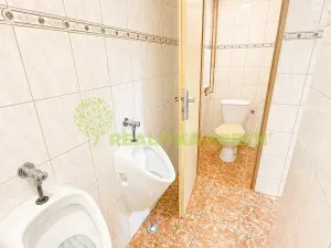 Prodej obchodního prostoru, Drnovice, 342 m2