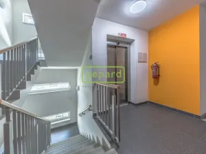 Prodej bytu 2+kk, Praha, Pískařská, 45 m2