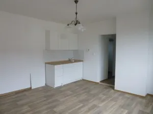 Pronájem bytu 1+1, Děčín - Děčín VI-Letná, Osadní, 46 m2