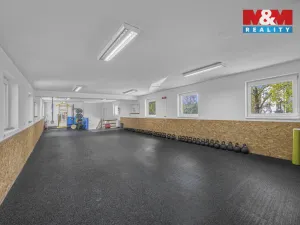 Prodej obchodního prostoru, Hradec Králové - Pražské Předměstí, Seydlerova, 195 m2