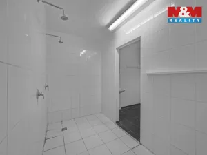 Prodej obchodního prostoru, Hradec Králové - Pražské Předměstí, Seydlerova, 195 m2