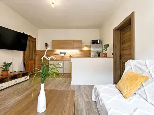 Prodej bytu 2+kk, Písek - Budějovické Předměstí, Kollárova, 59 m2