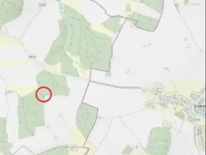 Prodej lesa, Červená Řečice, 48 m2