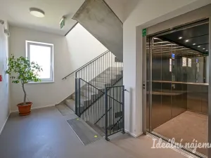 Pronájem bytu 1+kk, Brno, Křenová, 29 m2