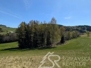 Prodej pozemku, Hartmanice - Chlum, 46489 m2