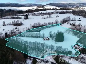 Prodej pozemku, Hartmanice - Chlum, 46489 m2