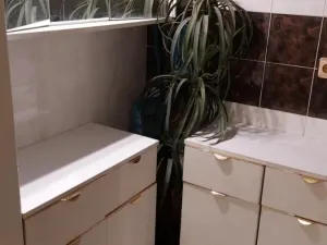 Pronájem bytu 1+1, Prostějov - Žešov, 40 m2