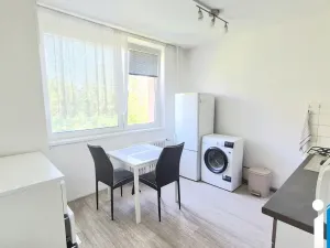 Prodej bytu 1+1, Prostějov, Libušinka, 33 m2