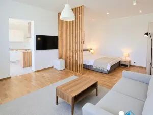 Prodej bytu 1+1, Prostějov, Libušinka, 33 m2