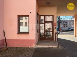 Pronájem obchodního prostoru, Opava, Rybářská, 30 m2