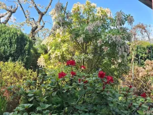 Prodej chaty, Ústí nad Labem - Církvice, 47 m2