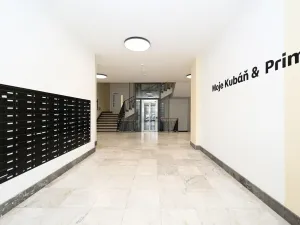 Pronájem bytu 1+kk, Praha - Vršovice, Kubánské náměstí, 19 m2