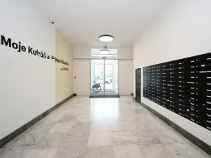 Pronájem bytu 1+kk, Praha - Vršovice, Kubánské náměstí, 19 m2