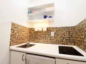 Pronájem bytu 1+kk, Brno - Veveří, Cihlářská, 29 m2