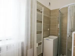 Pronájem bytu 1+kk, Brno, Koliště, 24 m2