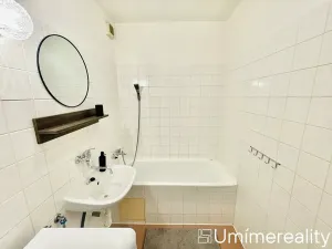 Pronájem bytu 1+1, Mladá Boleslav, Zalužanská, 42 m2