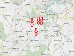 Prodej podílu lesa, Pertoltice, 4226 m2