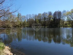 Prodej chalupy, Mileč, 260 m2