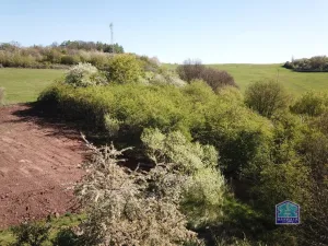 Prodej pozemku pro bydlení, Valeč - Nahořečice, 2955 m2