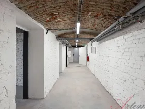 Pronájem bytu 2+kk, Ostrava - Moravská Ostrava, Křižíkova, 48 m2