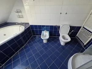 Pronájem bytu 4+kk, Plzeň, Přemyslova, 180 m2