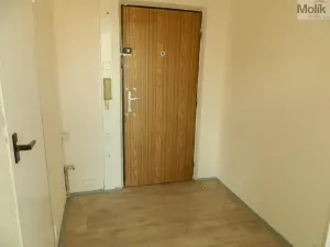 Pronájem bytu 1+kk, Most, Česká, 33 m2