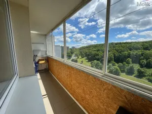 Pronájem bytu 1+1, Most, Brněnská, 33 m2