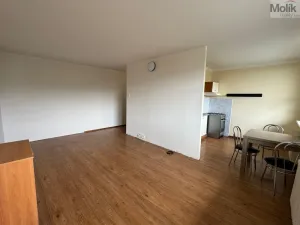 Pronájem bytu 1+1, Most, Brněnská, 33 m2